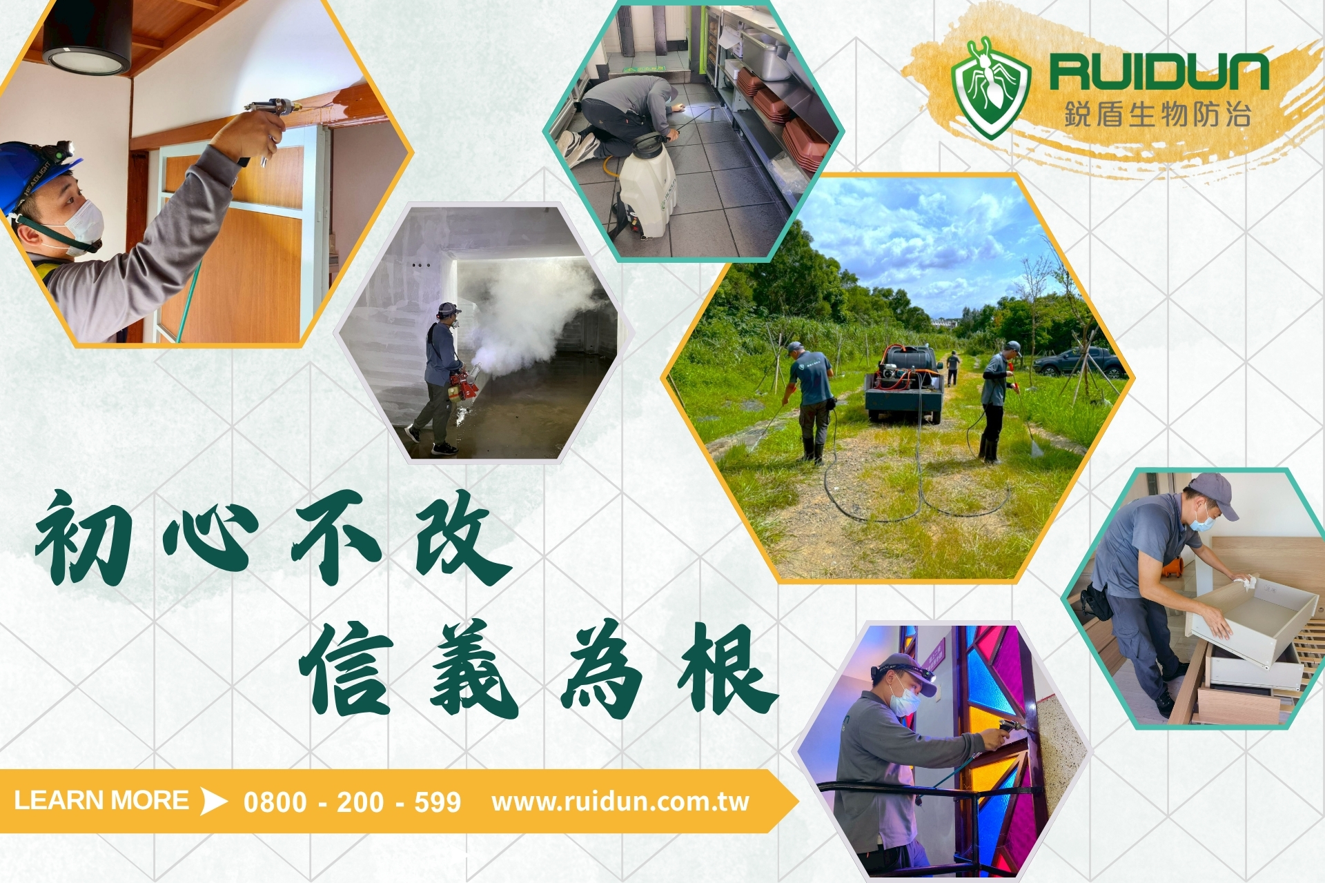 專業病媒防治