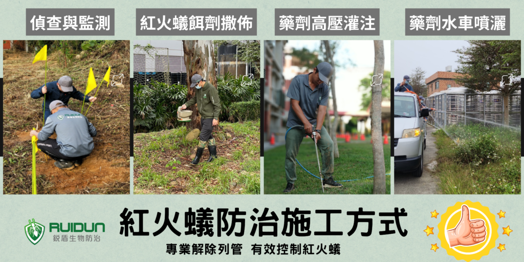 紅火蟻防治