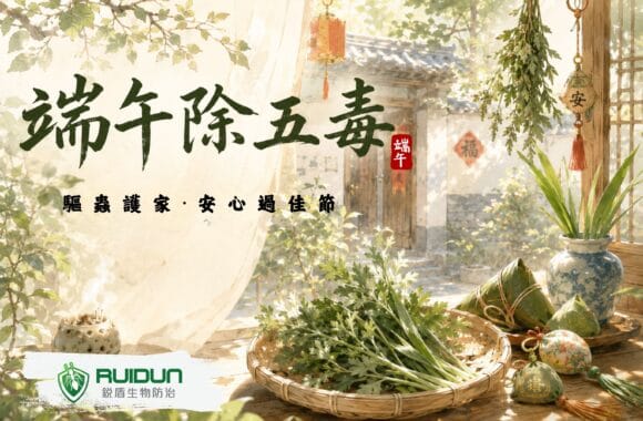專業除蟲