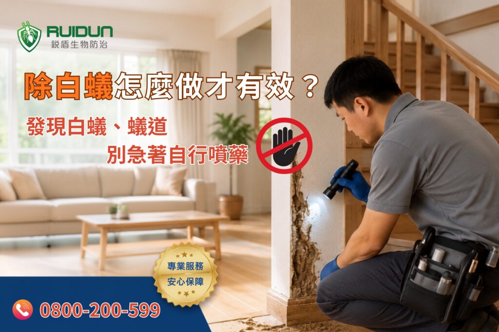 白蟻防治