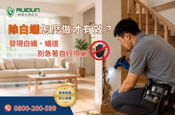 白蟻防治