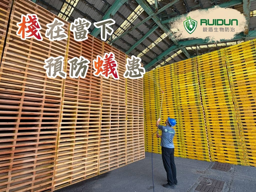 倉庫木棧板白蟻預防