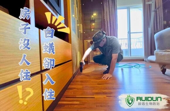 住家白蟻預防