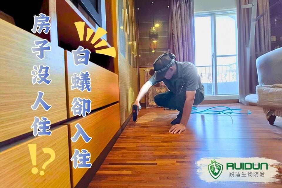 住家白蟻預防