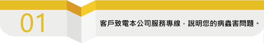 去背1縮小